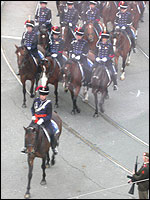 Die paarden moesten maar weer eens naar binnen