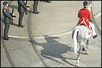 Kijk. Het paard van Sinterklaas